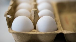 Eierkäufer sind verunsichert. Doch Experten halten die gefundenen Fipronil-Konzentrationen für unbedenklich. Foto: dpa
