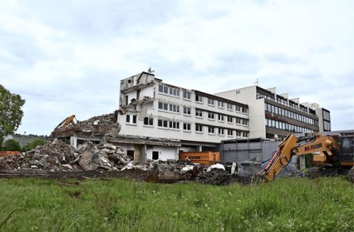 Die Abrissbagger rücken dem ehemaligen Hotel Autohof zu Leibe. Foto: Mathias Kuhn