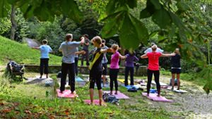 Yoga  ist beim Programm von Sport im Park ein fester Bestandteil. Foto: Sportamt