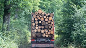 Holztransporte wie dieser sind extrem schwer und beschädigen auf Dauer Straßen. Foto: dpa/Sebastian Gollnow