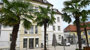 Palmen auf dem Rathaushof in Ludwigsburg: die Aktion geh bis Anfang Oktober. Foto: W. Kuhnle