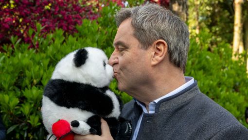 Markus Söder hat als Gastgeschenk einen Panda-Plüschbären bekommen. Foto: Peter Kneffel/dpa
