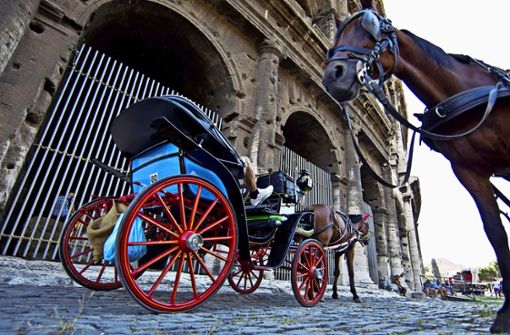 Der 61-Jährige wurde mehrere Meter von einer Pferdekutsche mitgeschleift. (Symbolbild) Foto: dpa/Massimo Percossi