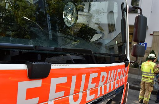 Die Feuerwehren aus Ludwigsburg und Freiberg am Neckar müssen zu einem Einsatz auf die A 81 bei Freiberg am Neckar ausrücken. Foto: dpa (Symbolbild)
