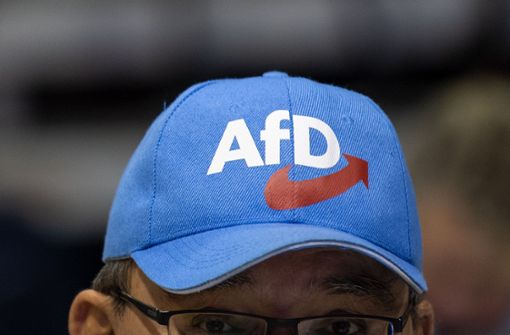 Steht die AfD bald unter Beobachtung? Foto: dpa-Zentralbild