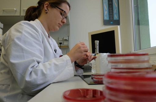 Im Labor wird untersucht, welche Keime wo vorkommen. Foto: Lichtgut/Achim Zweygarth