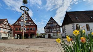 Der Plochinger Maibaum vor dem alten Rathaus. Foto: Stadt Plochingen