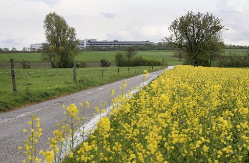 Ein Teil des geplanten Autobahnanschlusses soll auf den Feldern bei Gerlingen verlaufen. Im Hintergrund Gebäude der Firma Thales in Ditzingen. Foto: factum/Archiv