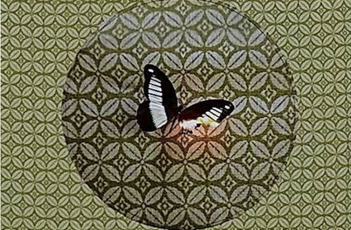 Verbrennender Schmetterling  von Christiane Spatt Foto: Kunstbezirk Stuttgart