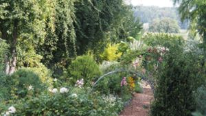 Inmitten eines Feldes angelegt hat Hubertus Albersmeier seinen rund 2000 Quadratmeter großen Garten. Von einem Hochsitz aus hat der Gärtner einen Überblick über den Garten, mit Rosenbögen und Mulchweg. Foto: Heidi Lorey
