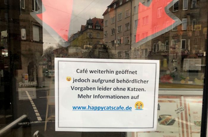 Aktion des Stuttgarter Lokals im Internet: Katzencafé sammelt Unterschriften gegen Schließung