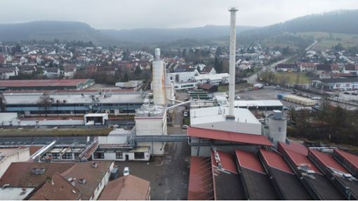 Seltener Einblick in die Werzalit-Industriebrache in Oberstenfeld. Foto: Werner Kuhnle www.kuhnle-foto.de
