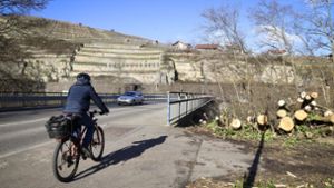 Oben oder unten lang? Eine Unterführung für Radler an der Enzbrücke zwischen Walheim und Besigheim ist noch nicht vom Tisch. Foto: factum/Simon Granville