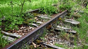 Die alten Schienen zerbröseln, doch vielleicht fahren  irgendwann mal wieder Züge von Marbach Richtung Bottwartal. Foto: Werner /Kuhnle