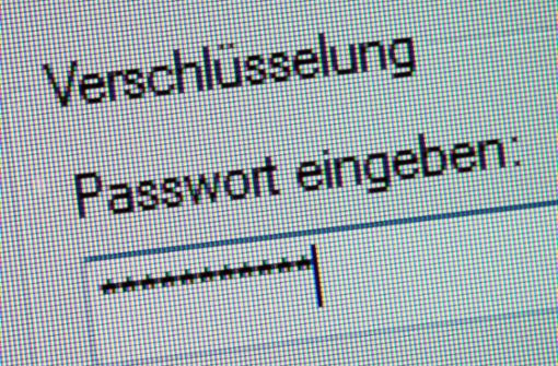 Weil es schwer fällt, den Überblick zu behalten, verwenden viele Deutsche immer wieder das gleiche Passwort. Foto: /Andrea Warnecke