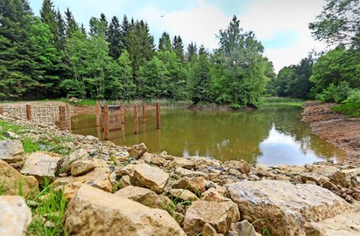 Der Kohlweiher bei Hildrizhausen erstrahlt in neuem Glanz. Foto: factum/Granville