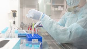 Eine Mitarbeiterin im Labor wertet einen PCR-Corona-Test aus. (Symbolbild) Foto: dpa/Sebastian Gollnow