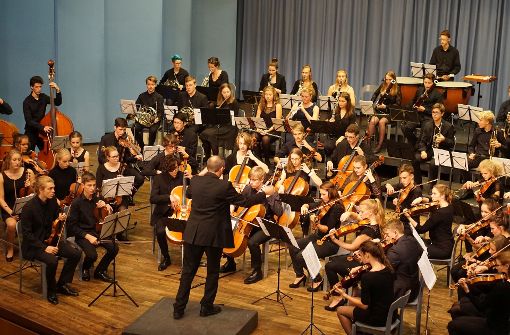 Das Schüler-Symphonie-Orchester Stuttgart spielt auf dem Engelberg. Foto: Veranstalter