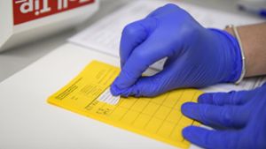 Der gelbe Ausweis der Weltgesundheitsorganisation gilt in der Übergangszeit Foto: dpa/Christopher Neundorf