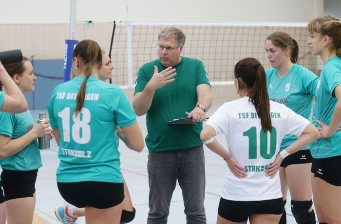 Volleyball Regionalliga: Deshalb besteht bei den TSF Ditzingen Aufstiegsgefahr