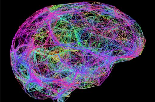 Eine dreidimensionale Computergrafik des menschlichen Gehirns Foto: Mauritius Images/Science Photo Library