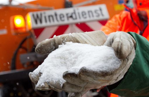 Ist in Ludwigsburg der Winterdienst gesichert? Foto: dpa