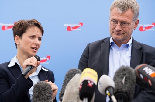 Neue Doppelspitze: Frauke Petry und Jörg Meuthen Foto: dpa