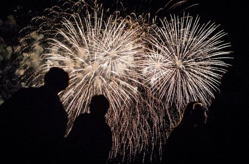 Das neue Jahr wurde wieder mit Feuerwerk begrüßt, wenn auch nicht am Stuttgarter Schlossplatz. Foto: dpa (Symbolbild)