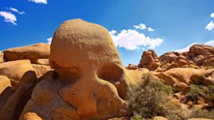 Die Hippies sind auch keine Lösung: Der Skull Rock im Joshua Tree Nationalpark in der Mojave-Wüste Foto: Tono Balaguer/Adobe Stock