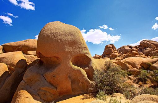 Die Hippies sind auch keine Lösung: Der Skull Rock im Joshua Tree Nationalpark in der Mojave-Wüste Foto: Tono Balaguer/Adobe Stock