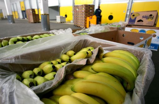 87 Kilo Kokain wurden in den Bananen-Kisten gefunden (Symbolbild). Foto: dpa