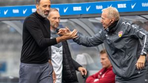 Trainer Pellegrino Matarazzo (l) von VfB Stuttgart klatscht sich nach der 1:0 Führung mit Athletiktrainer Oliver Bartlett ab. Foto: dpa
