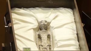 Bei diesem Artefakt, das der Journalist Jaime Maussan im mexikanischen Parlament gezeigt hat, soll es sich um die Mumie eines angeblichen Außerirdischen handeln. Foto: Imago/Eyepix Group