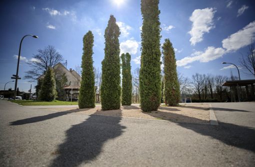 Der Alfred-Leikam-Garten ist schon fertig. Foto: Gottfried Stoppel