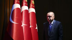 Wer sich kritisch über Präsident Erdogan äußert, bekommt in der Türkei schnell Probleme. Foto: dpa/Presidential Press Service
