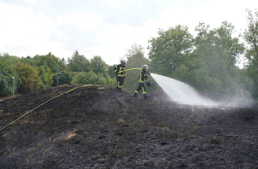 Die Feuerwehr löschte einen Flächenbrand in Stuttgart-Münster. Foto: Andreas Rosar Fotoagentur-Stuttg/Andreas Rosar Fotoagentur-Stuttg