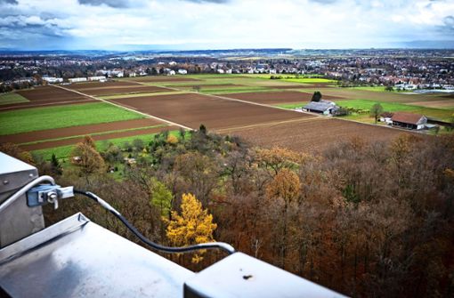 Seit vielen Jahren immer wieder einmal  als Baugebiet in der Diskussion: das Birkacher Feld (Bildmitte und links). Foto: Lichtgut/Achim Zweygarth