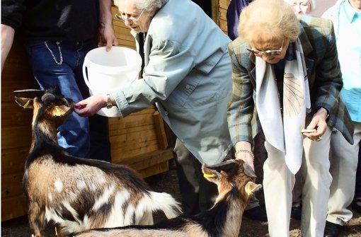 Die Bewohner des Pflegestifts begrüßen die Tiere mit einem Leckerli. Foto: cz