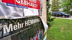 Mehr politische Gruppierungen werden im neuen Hemminger Gemeinderat sitzen: „Die Partei“ hat am Sonntag erstmals einen Sitz errungen. Foto: factum/Andreas Weise