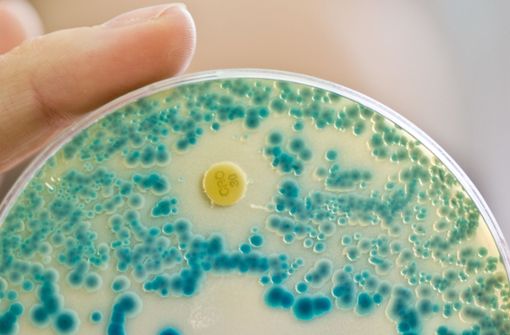 Multiresistente Keime, insbesondere der Acinetobacter baumanii, sind eine Herausforderung für die Krankenhäuser. Foto: dpa