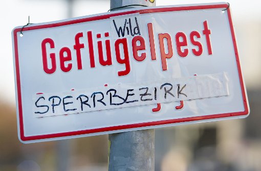 „Wild-Geflügelpest Sperrbezirk“: Auch in Berlin wurde am 20. November ein toter Schwan gefunden, bei dem der Geflügelpest-Virus H5N8 festgestellt wurde. Der Sperrbezirk umfasst einen Radius von drei Kilometern und gilt zunächst für 21 Tage. Foto: dpa
