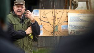 Helmut Ritter lehrt die Baumpflege, wie sie einst Helmut Palmer betrieb. Foto: Gottfried Stoppel