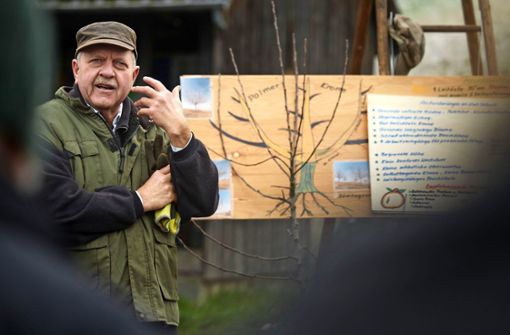 Helmut Ritter lehrt die Baumpflege, wie sie einst Helmut Palmer betrieb. Foto: Gottfried Stoppel