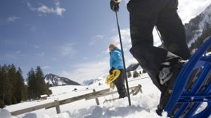 Trekking mit Schneeschuhen Foto: tza (Tiroler Zugspitz Arena)