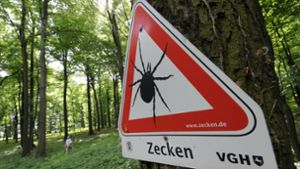 Vor Zecken wird mit einem Schild in einem Waldgebiet südlich von Hannover gewarnt. Foto: dpa