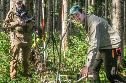 Marcus Schäfer (links) und Matthias Colling vermessen auch das Totholz im Wald. Foto: Faltin