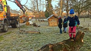 Ein Kind hat den alten Baumstamm schon freudig in Besitz genommen. Foto: privat