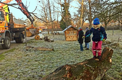 Ein Kind hat den alten Baumstamm schon freudig in Besitz genommen. Foto: privat