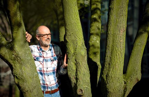 Peter Wohlleben plädiert dafür, den Wald weitestgehend sich selbst zu überlassen. Foto: dpa/Christian Charisius