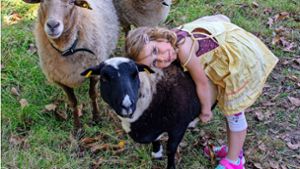 Tiere füttern, streicheln und pflegen – auch das gehört zum pädagogischen Konzept des Abi Vaihingen. Foto: Abi Vaihingen/Dennis Driehaus